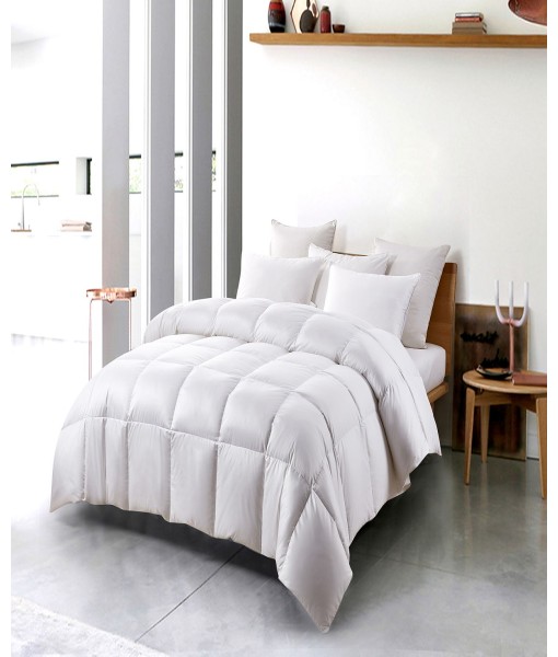 White Down Fiber & Feather Light Warmth Comforter  Twin