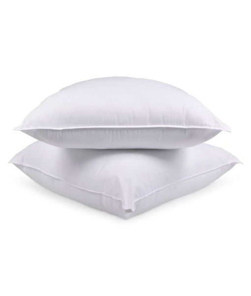 White 2-Pack Pillow  European  